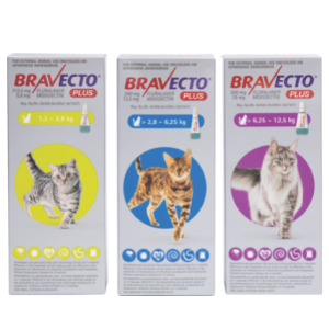 Bravecto Plus for Cats