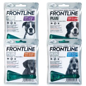 Frontline Plus for Dogs