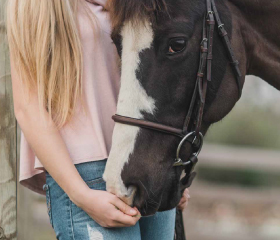 Horse nuzzling female hand