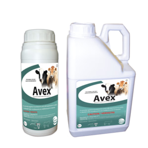 Avex 1L