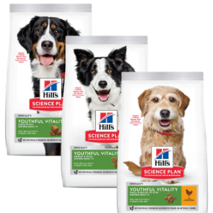 Hill’s Canine Mature Youthful Vitality