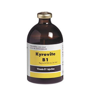 Kyrovite B1 100ml