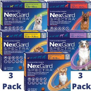 Nexgard Spectra 3 Pack