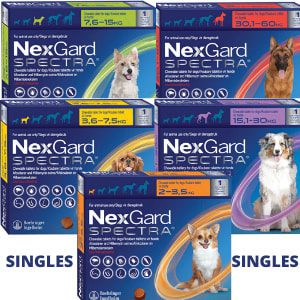 Nexgard Spectra Single Pack