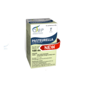 Pasteurella Cattle 50 dose 100ml