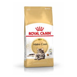 Royal Canin Maine Coon 31 4kg