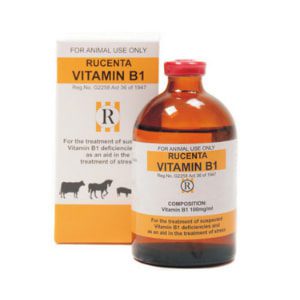 Vit B1 100ml