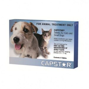 Capstar flea treatment for cats and small dogs