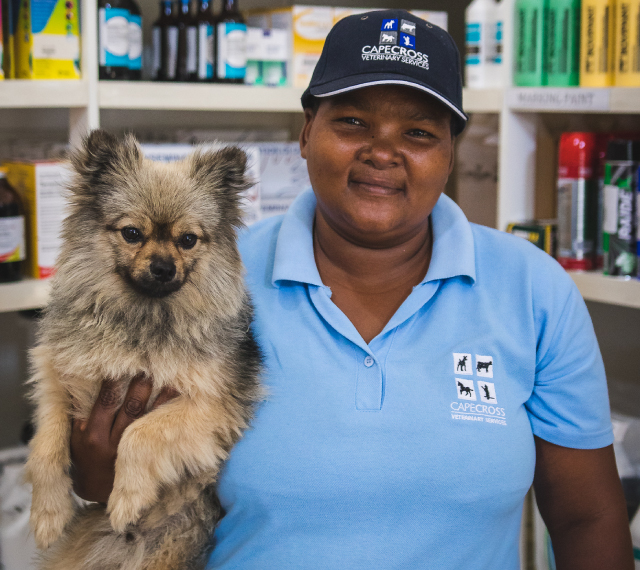 Veterinary Jobs South Africa CapeCross Vacancies