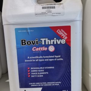 Bovi Thrive Cattle