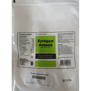 Kyrogest Antacid 320g (singles)