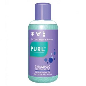 Purl Shampoo 500ml